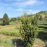 Casamariu